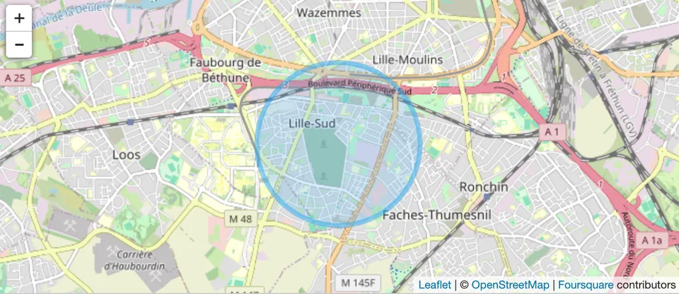 Lille Wazemmes – Großes T2-Duplex mit kommerzieller Gelegenheit – Foto 8 von 8