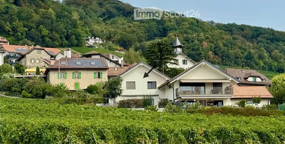 VILLA ZU VERMIETEN FÜR 6 MONATE (JANUAR-JUNI 2027) – Foto 5 von 5