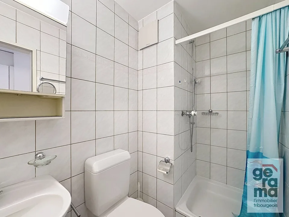 Spacious 4.5-room apartment of 113m2 – photo 4 of 9