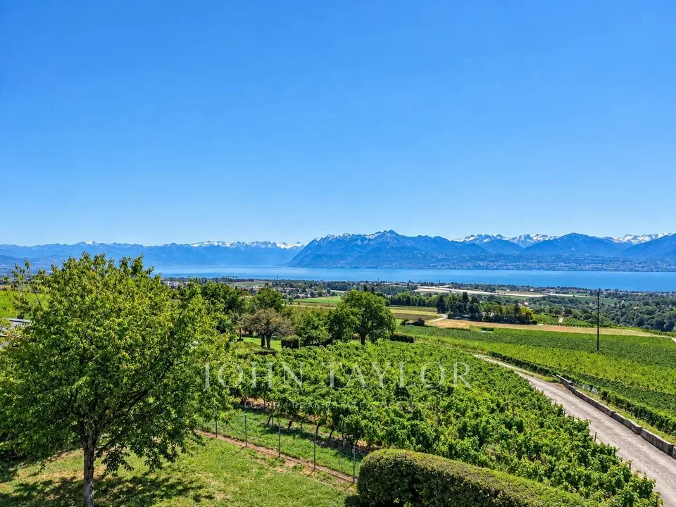Elegante proprietà vinicola con volumi spettacolari – foto 4 di 20