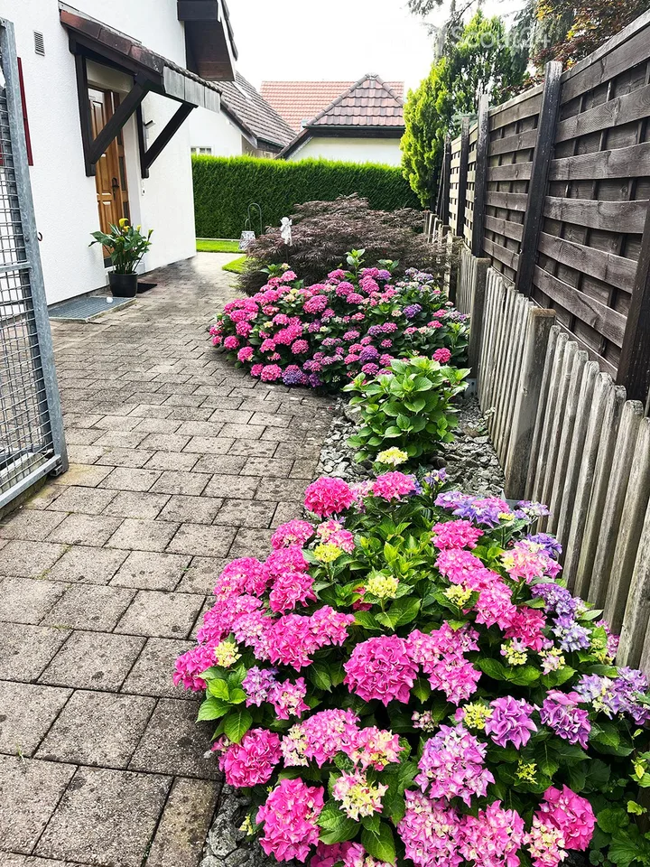 Maison individuelle détachée avec garage double à Neuendorf – photo 5 sur 30