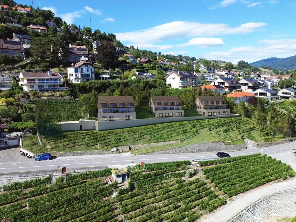Letzte Chance in Chardonne ergreifen! – Foto 2 von 6