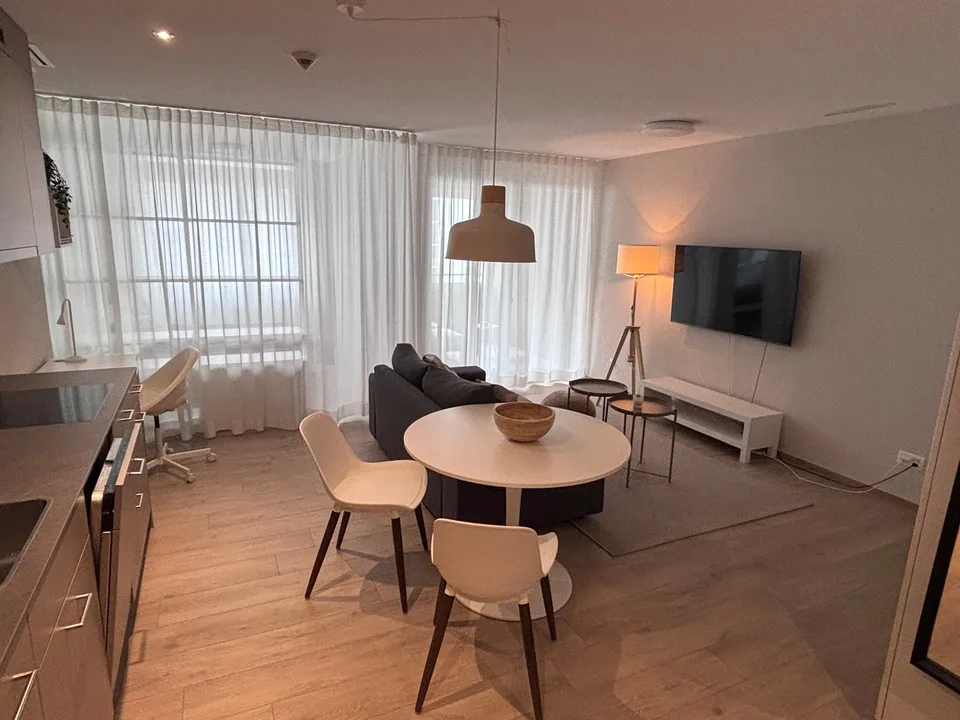 1½ ZI-WOHNUNG IN NEUHAUSEN AM RHEINFALL (SH), MÖBLIERT, TEMPORÄR – Foto 3 von 10