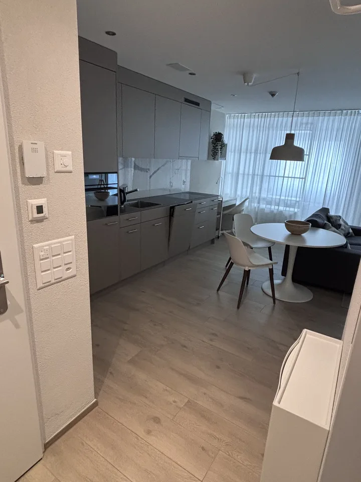 1½ ZI-WOHNUNG IN NEUHAUSEN AM RHEINFALL (SH), MÖBLIERT, TEMPORÄR – Foto 4 von 10