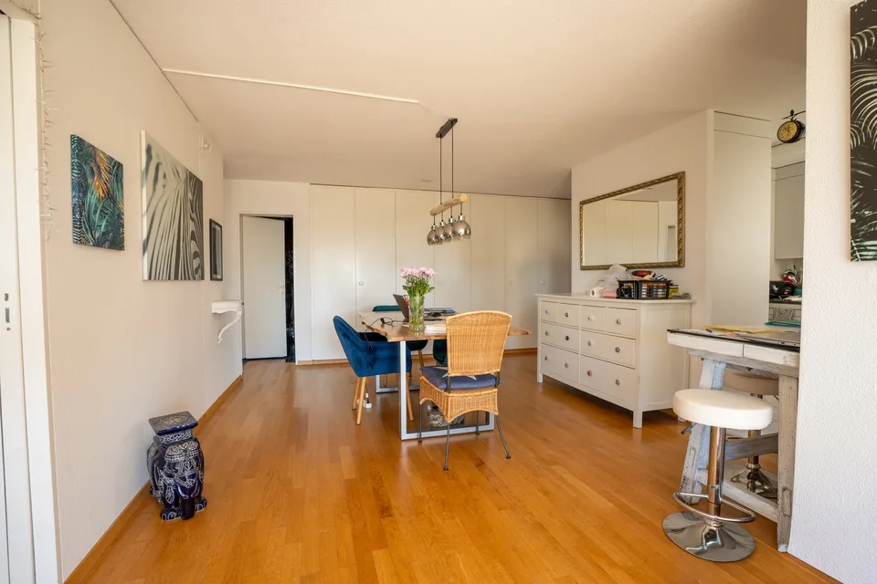 Appartamento 5.5 locali - standard di proprietà - con grande giardino e bella vista – foto 6 di 18