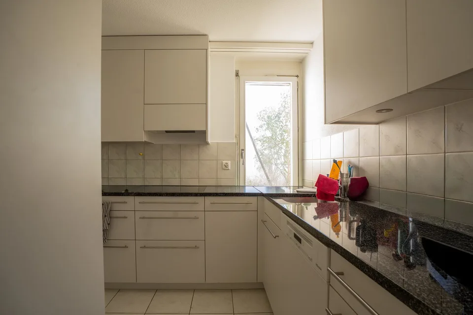 Appartamento 5.5 locali - standard di proprietà - con grande giardino e bella vista – foto 16 di 18