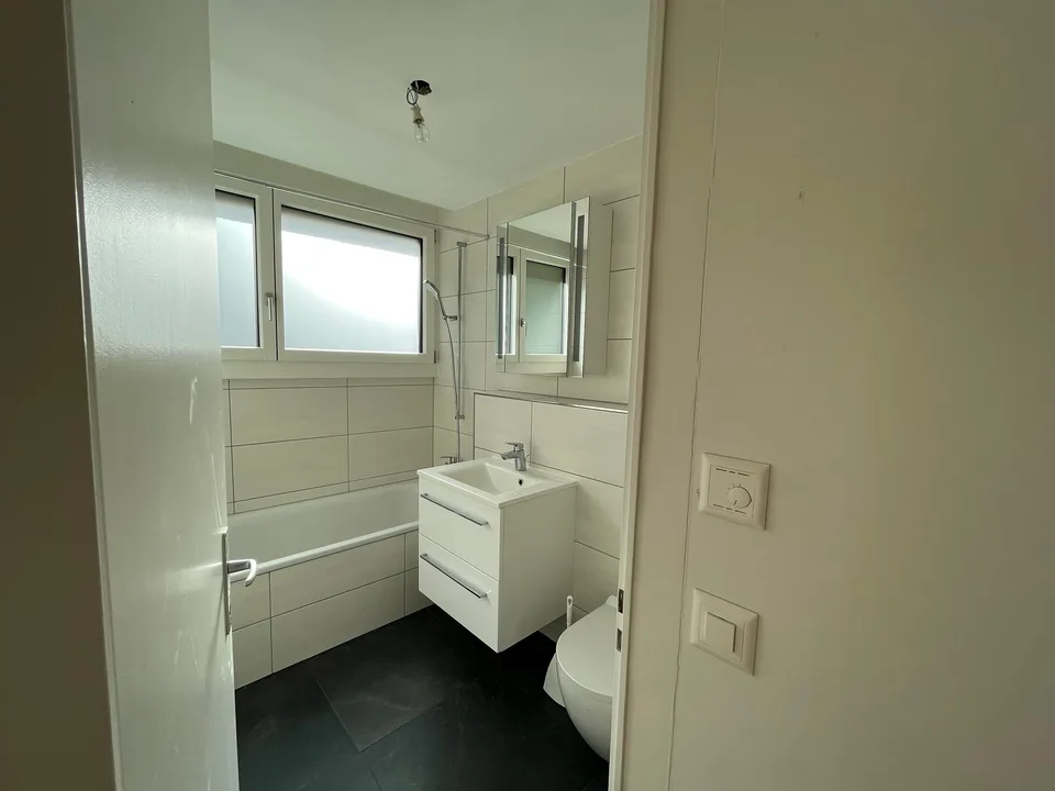 Appartement très ensoleillé, calme, partiellement rénové de 4,5 pièces – photo 11 sur 11