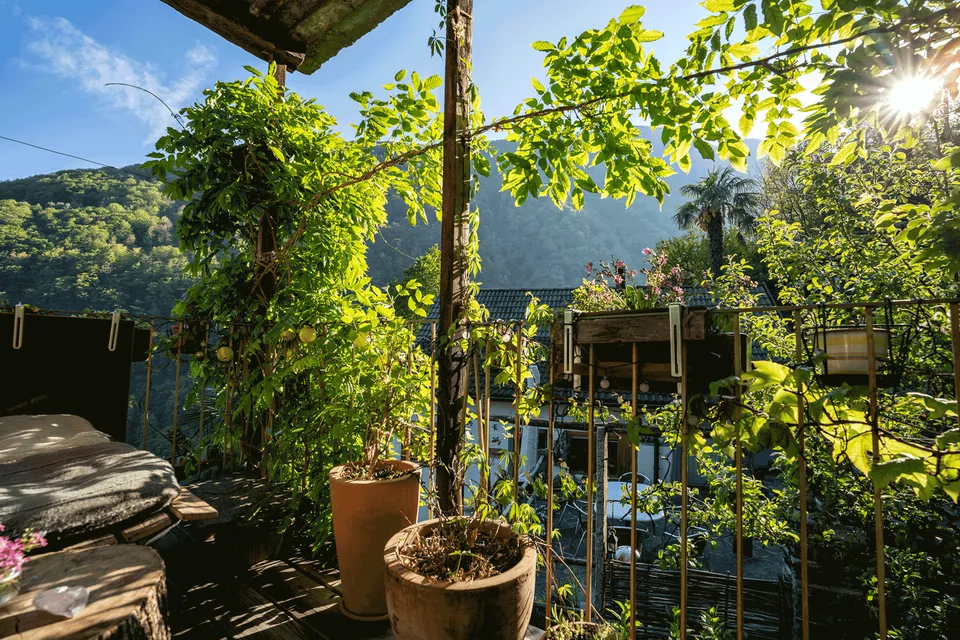 Rustico Liebhaberobjekt in Mergoscia – Foto 8 von 25