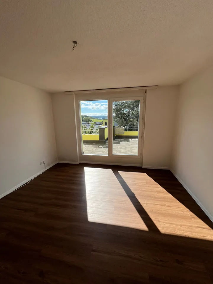 Appartamento spazioso 4.5 locali con terrazza gigante – foto 6 di 16