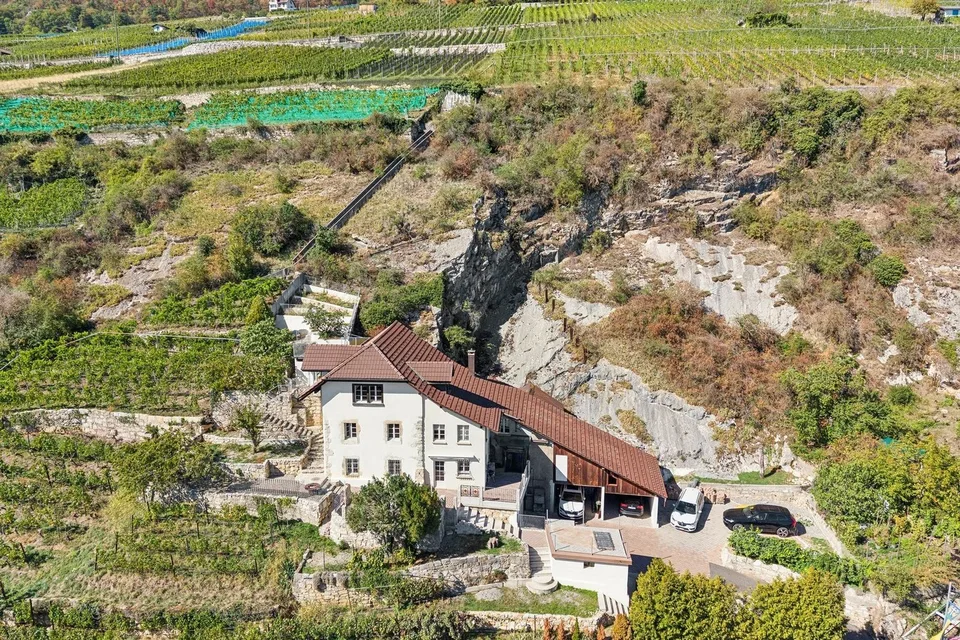 Linee pure & storia vigneronne sul lago di Bienne – foto 4 di 13