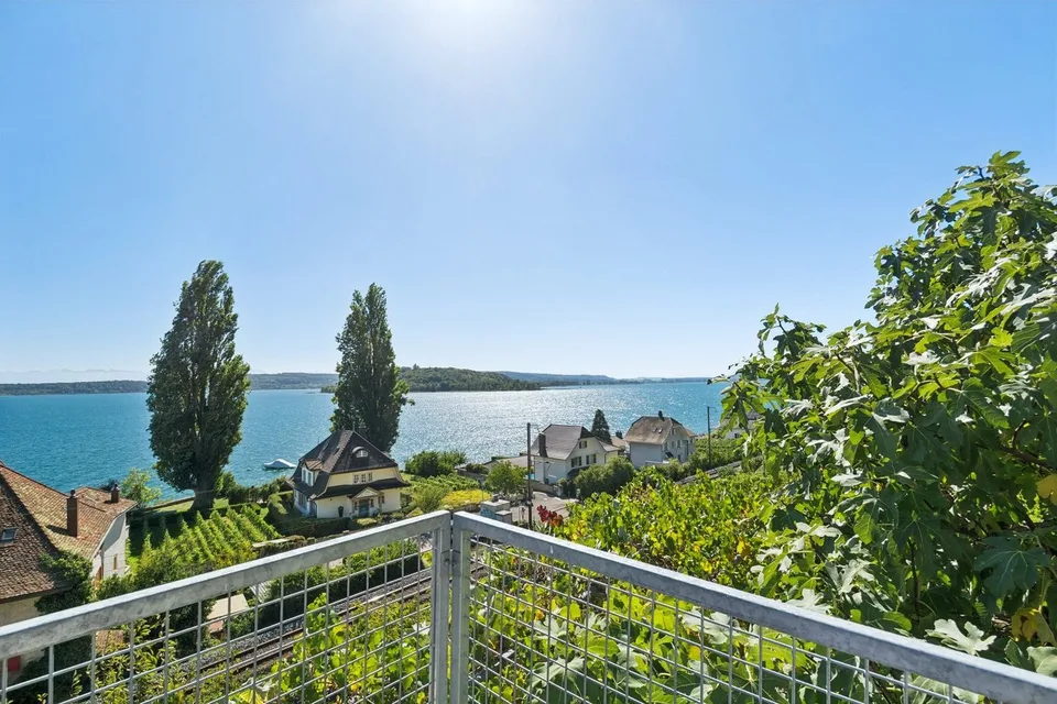 Linee pure & storia vigneronne sul lago di Bienne – foto 12 di 13