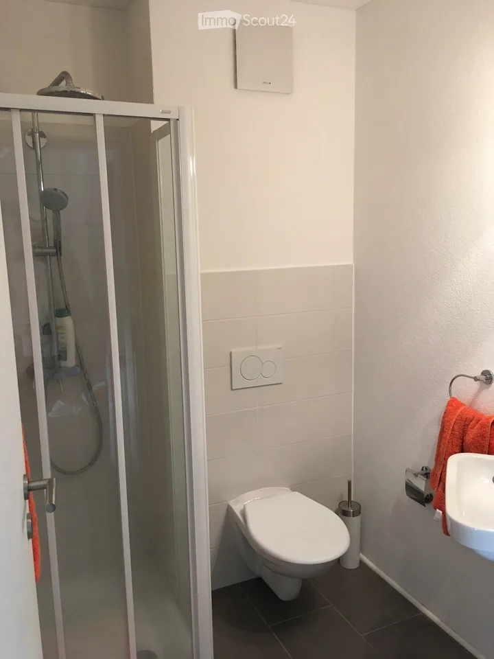 Großes und helles 3-Zimmer-Apartment mit breiter Terrasse – Foto 4 von 5