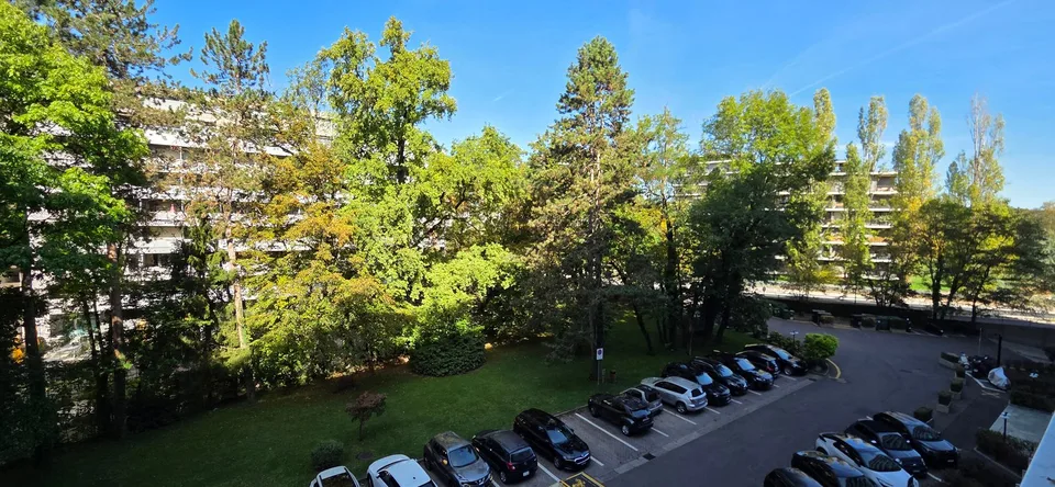 Gradelle 18, appartamento di 2 locali al 3° piano – foto 6 di 11
