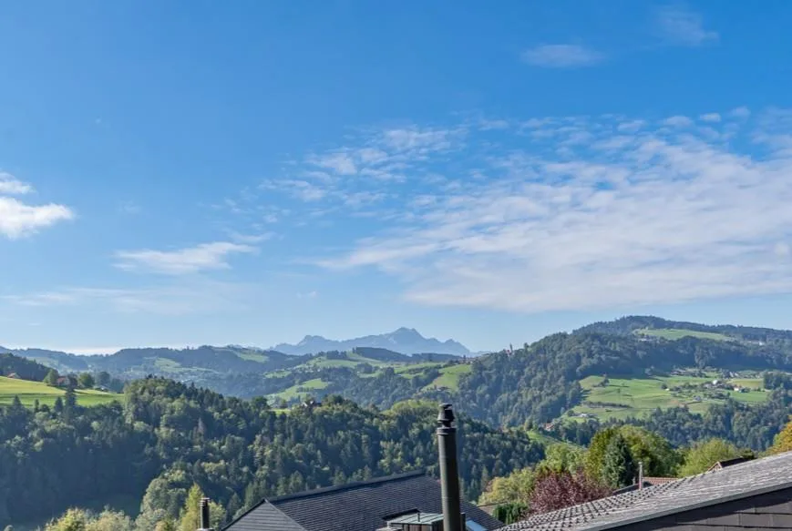 7.5-Zi. Einfamilienhaus mit Garten und Säntisblick - Umbauobjekt – Foto 3 von 13