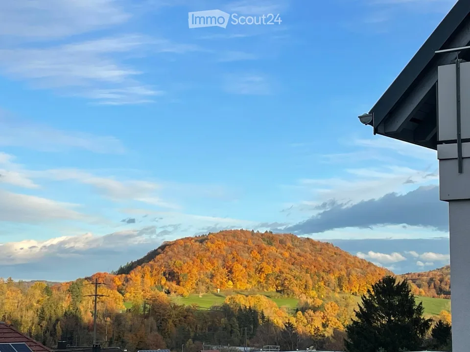 Propriété unique - parfaite pour deux familles, maison spacieuse pour une ou plusieurs familles – photo 21 sur 22