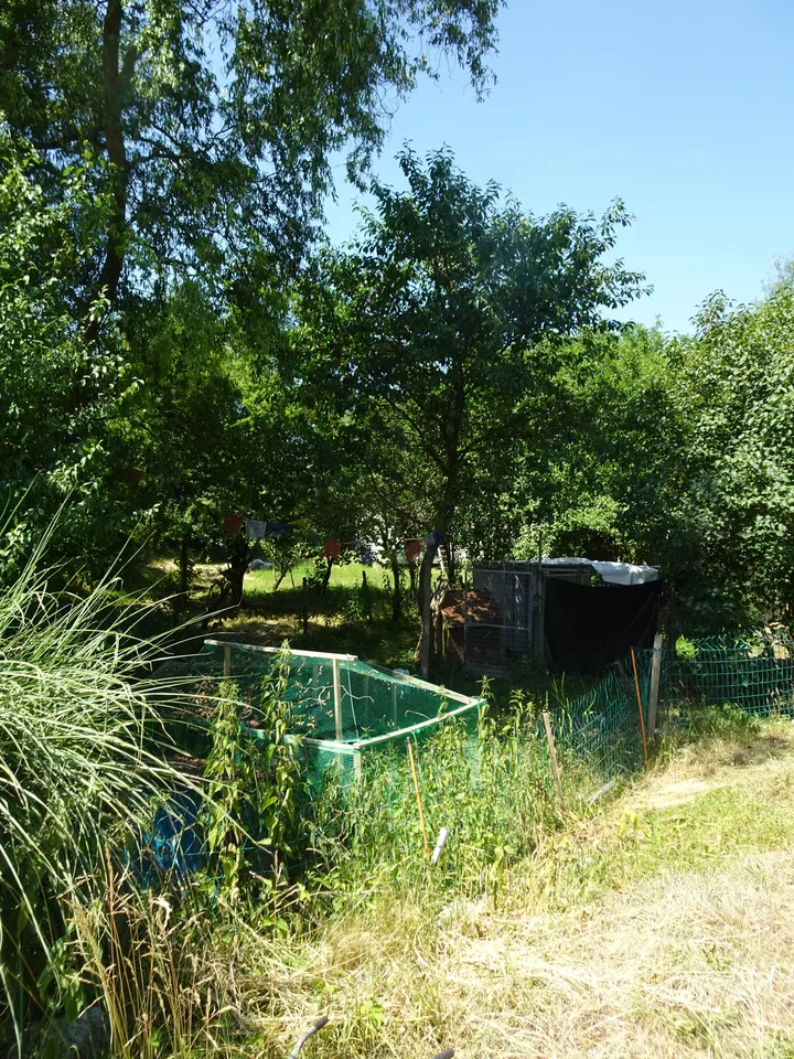 Ökologisch umgebautes ehemaliges Bauernhaus inmitten der Natur – Foto 5 von 20