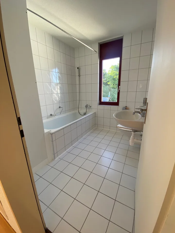 Appartamento 4 camere 105 m2 1400.- e terrazza 150m2, appartamento ufficio 2 camere 750.- – foto 18 di 29