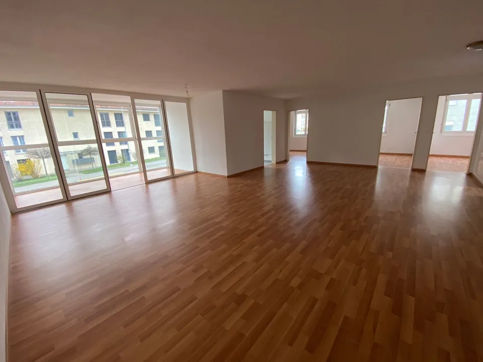 Appartamento 4 camere 105 m2 1400.- e terrazza 150m2, appartamento ufficio 2 camere 750.- – foto 20 di 29