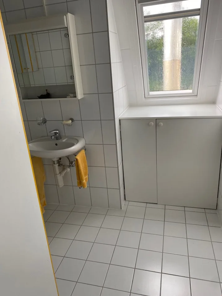 Appartamento 4 camere 105 m2 1400.- e terrazza 150m2, appartamento ufficio 2 camere 750.- – foto 14 di 29