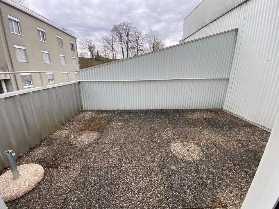 Appartamento 4 camere 105 m2 1400.- e terrazza 150m2, appartamento ufficio 2 camere 750.- – foto 24 di 29