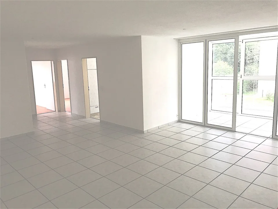 Appartamento 4 camere 105 m2 1400.- e terrazza 150m2, appartamento ufficio 2 camere 750.- – foto 3 di 29