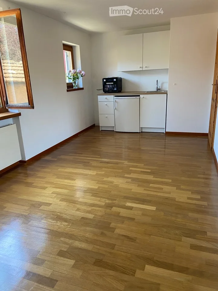 Kleines 2-Zimmer-Wohnung im Kern von Origlio – Foto 3 von 5