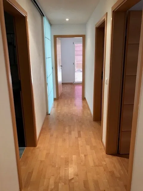 Charming apartment in a beautiful location on Lake Brienz – photo 11 of 12