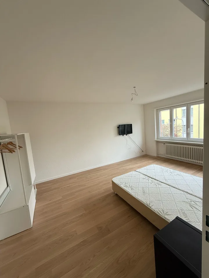 Charmantes 1,5-Zimmer-Apartment mit modernen Annehmlichkeiten in Zürich – Foto 2 von 6