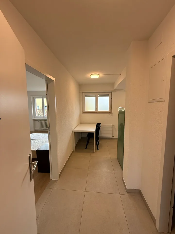 Charmantes 1,5-Zimmer-Apartment mit modernen Annehmlichkeiten in Zürich – Foto 3 von 6