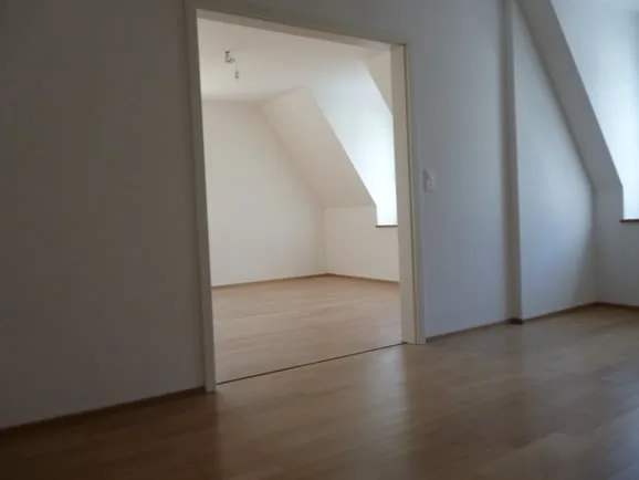 Einzigartige 3,5-Zi. Dachwohnung, Nähe Rieterpark, Zürich-Enge – photo 11 sur 15