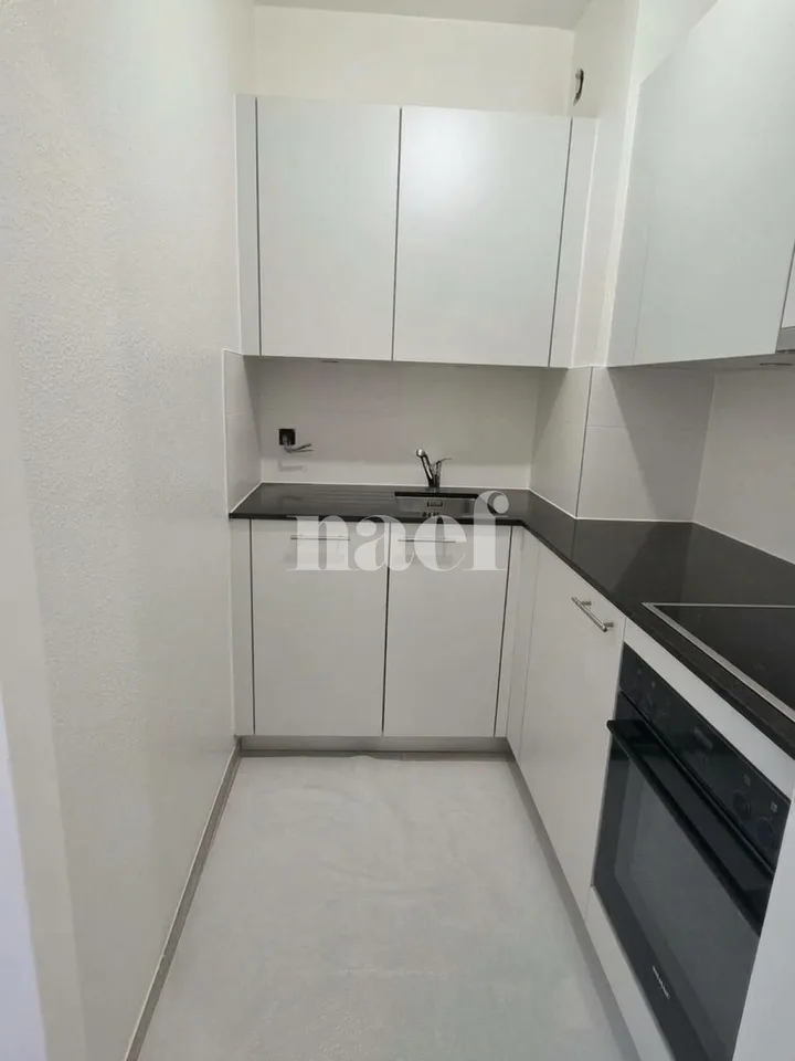 Monolocale di 1,5 locali completamente ristrutturato – foto 2 di 2