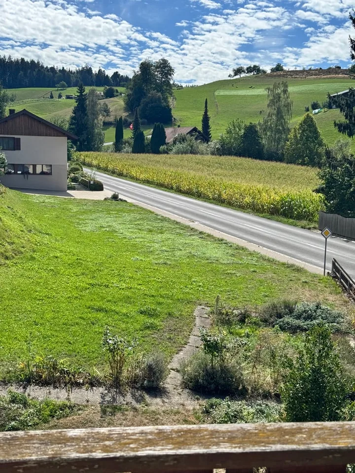 Affascinante e molto bello con grande terreno - grande casa familiare – foto 21 di 28