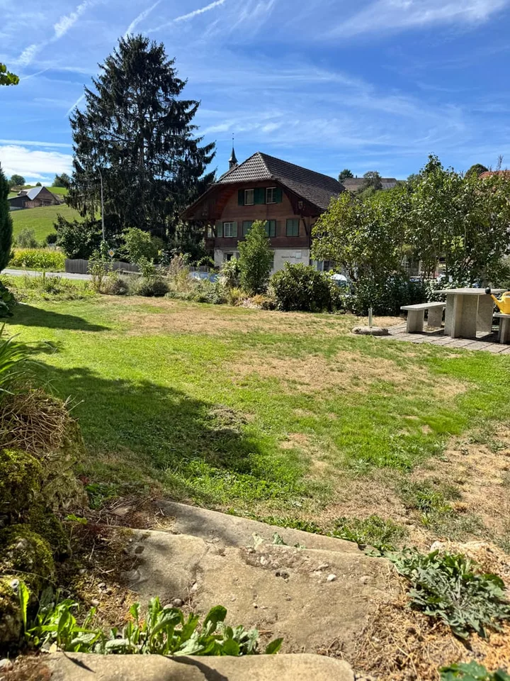 Affascinante e molto bello con grande terreno - grande casa familiare – foto 11 di 28