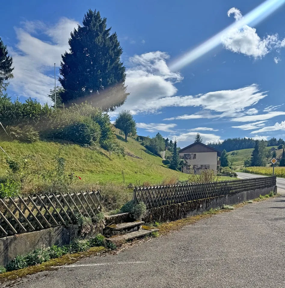 Affascinante e molto bello con grande terreno - grande casa familiare – foto 12 di 28