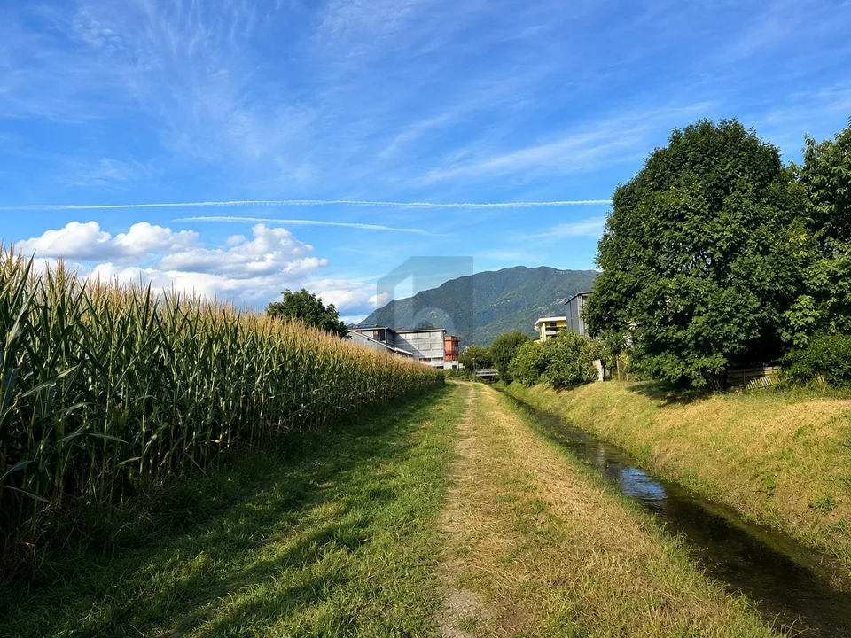 Spacieux dans une position ensoleillée et stratégique – photo 4 sur 5