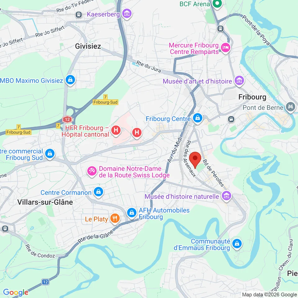 FRIBOURG, VIVRE LA VILLE, FACE À LA VERDURE-RARE-OPPORTUNITÉ – foto 13 di 16