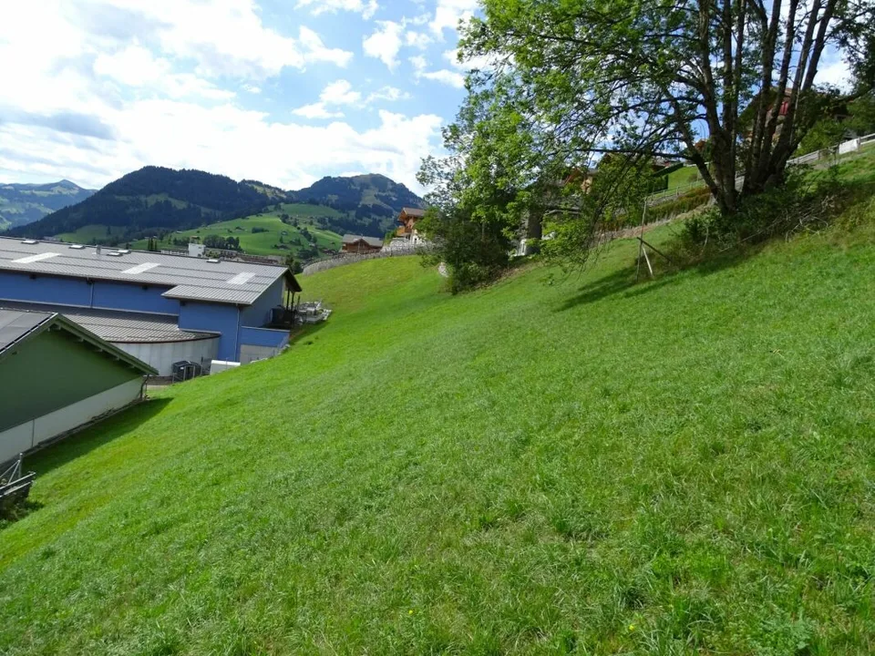 Bauland von 717 m2 an sonniger Hanglage in Zweisimmen BE – Foto 3 von 10