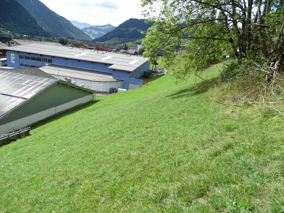 Bauland von 717 m2 an sonniger Hanglage in Zweisimmen BE – Foto 6 von 10
