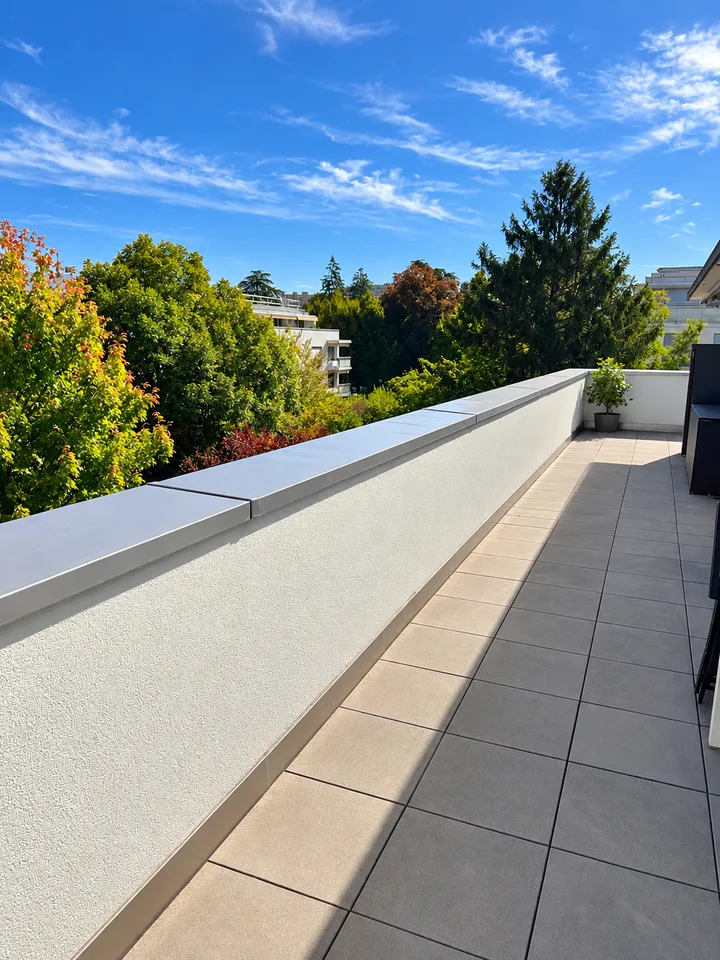 En exclusivité! MAGNIFIQUE ATTIQUE DE 7 PIECES AVEC DEUX VASTES TERRASSES – photo 8 sur 9