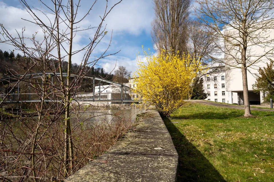 Charmantes Büro in alter Fabrikhalle – Foto 17 von 17