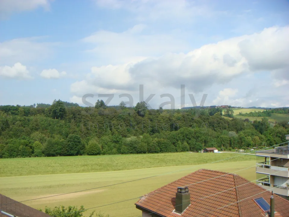 Appartamento duplex di 4 locali con terrazza a Zollikofen – foto 8 di 9