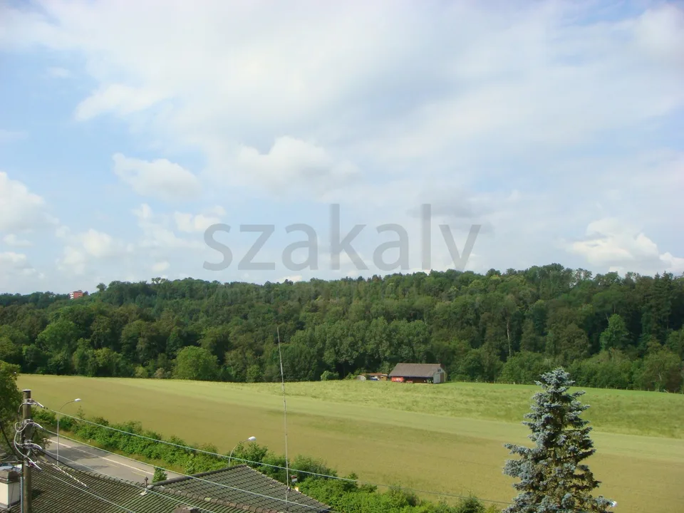 Appartamento duplex di 4 locali con terrazza a Zollikofen – foto 9 di 9