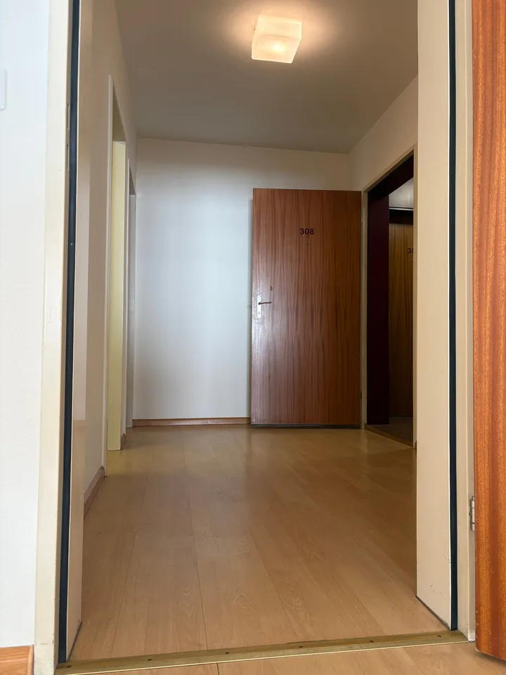 Incantevole appartamento monostanza a Steinenvorstadt a Basilea – foto 3 di 10