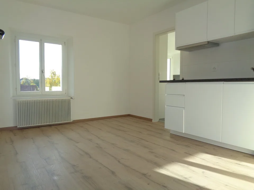 Appartamento completamente rinnovato - MODERNO – foto 2 di 4