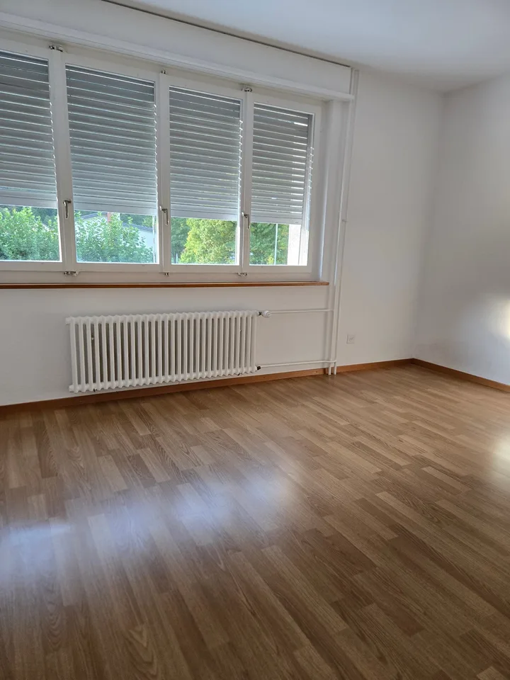 Appartement spacieux 5 pièces avec balcon et belle vue à Linthal – photo 5 sur 14