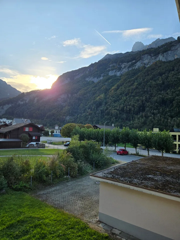 Appartement spacieux 5 pièces avec balcon et belle vue à Linthal – photo 14 sur 14