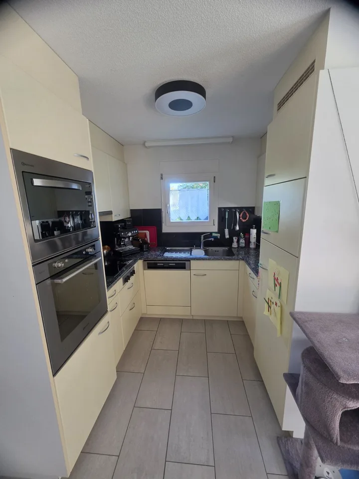 Maison unifamiliale 4,5 pièces, Winterthur-Iberg – photo 2 sur 11