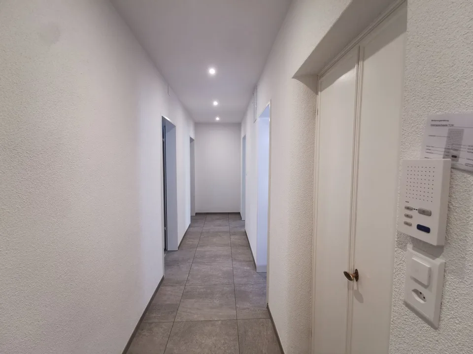 Appartamento di 3 locali appena ristrutturato vicino alla stazione di Wiedikon (disponibile immediatamente) – foto 2 di 13