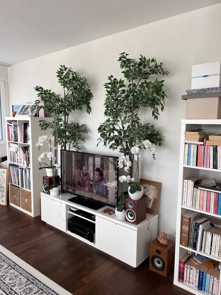 Charmant appartement à Morges – photo 4 of 11