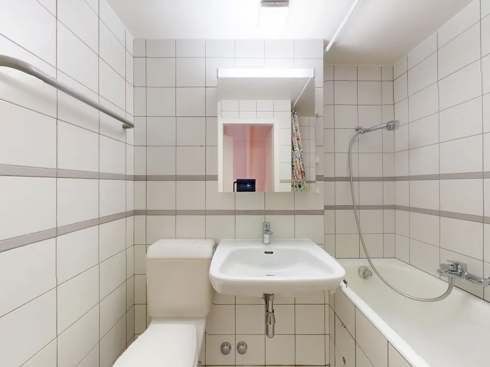 Charming furnished 1-bedroom apartment under the roof with exposed beams – Servette, Geneva – photo 10 of 10